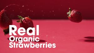 [Free Samples] Go Good Whey Protein 500g (organic chocolate/vanilla/strawberry/banana/unflavoured)