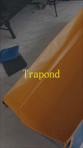 AZOLLA  pond fish tank 6x2x1ft 1pc only. TRAPOND SURE SA TIBAY