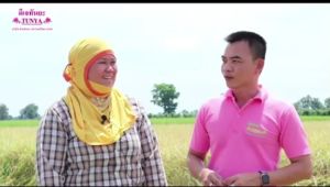 ซาซ่าส์ มิกซ์ สารปรับปรุงดิน