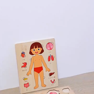 Montessori Wooden Puzzles Game Human Body Puzzles Educational Tools For Kids Organs Model Preschool