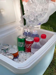 Portable Ice Cooler Box 13L/16L/30L Insulated Cold Storage Container for Outdoor Picnic Camping Fishing