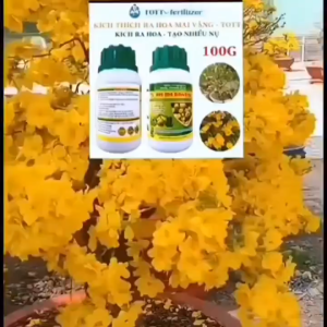 Phân bón kích ra nụ kích bông hoa ra đều khoẻ tạo cánh mai vàng-Lọ 100gram