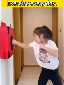 Wall Punching Pad Boxing Punch Target Training Sandbag Sports Dummy Bag Fighter