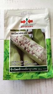 ศรแดง ข้าวโพด เหนียวสองสี จำนวน 20 เมล็ด/ซอง หมดอายุ 22/05/2568 เมล็ดพันธุ์ ลอตใหม่ งอกดี ปลูกง่าย โตไว อร่อย รสชาติ เหนียว นุ่ม