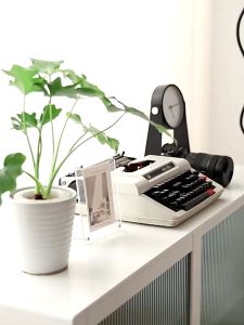 SWING LAZY CHAIR KURSI GOYANG MINIMALIS KURSI SANTAI RUANG TAMU KURSI SOFA