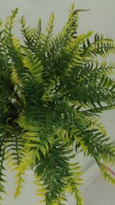 Aksesories polypodhium cabang 7 artificial rumput daun paku atau pakis plastik untuk dekorasi pelaminan atau dekorasi wedding dan dekorasi rumah premium Import termurah aritificial palsu plastik