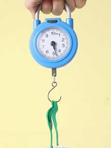 Cân cầm tay mini 10kg có móc treo tiện dụng cho việc đi chợ du lịch lò xo cơ học đồng hồ kim siêu chuẩn