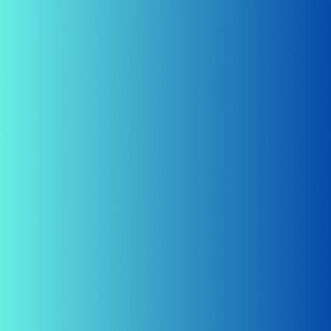 Paradise Towel Navy Blue Bath Towel 550gram 100% Cotton Hotel Quality Towels 70x140cm Water Absorbent ONESTEP