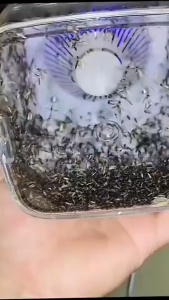 Đèn bắt muỗi máy bắt muỗi máy diệt côn trùng thông minh kiêm đèn ngủ cắm cổng usb cao cấp