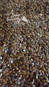 Biji Lamtoro Gung 500gr atau Petai Cina Kering - Obat Diabetes !