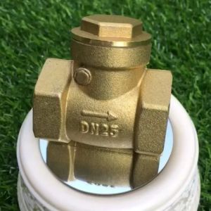 Brass Swing Check Valve DN50: A Comprehensive Guide