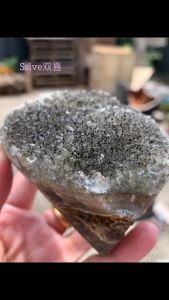 This natural clear quartz features naturally occurring black tourmaline inclusions 黑碧玺共生白水晶镇｜沉稳净化