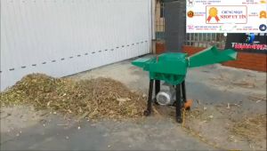 Bán Máy Băm Cà Gai Leo Băm Cây Mía Băm Cỏ Voi Lô Cuốn Tự Động 3 Nắc Điều Chỉnh