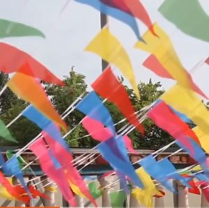 100M Multicolored Triangle Flags Bunting Banner Pennant Festival Outdoor Decor