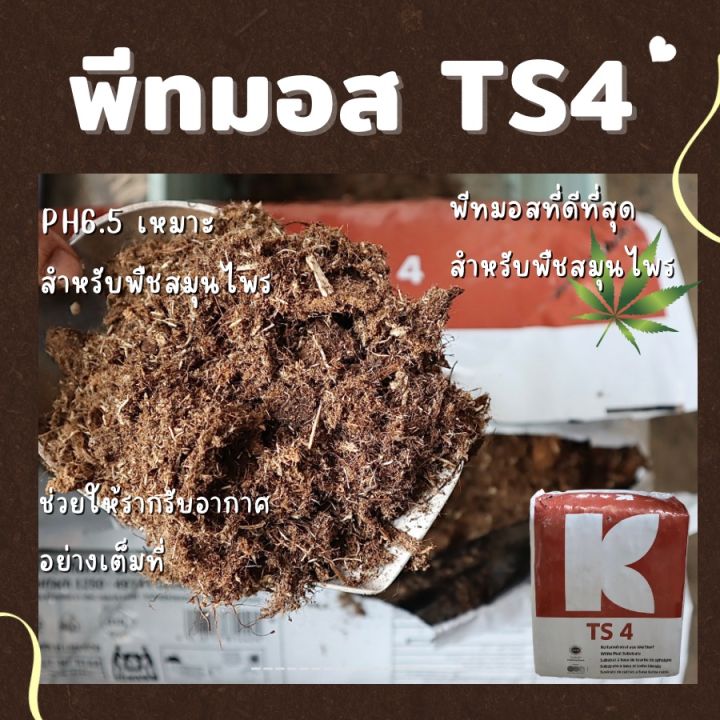 พีทมอส TS4 คลาสแมน สำหรับเพาะกล้า