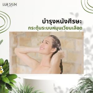 🔥 ส่งฟรี ส่งไว🔥 LUR SKIN TEA TREE PURIFY SHAMPOO แชมพูลด สิว และรังแค ลด ผมร่วง บำรุงหนังศรีษะ 300 ml (1 แถม 1)