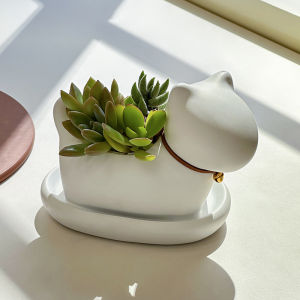 Cartoon Small Bell Cat Succulent Plant Flower Pot Desktop Succulent Plant Pot Decoration Mini Flower Pot Home Garden Decoration