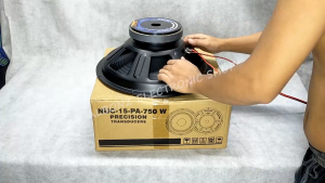 Atomic Nuclear NUC-15-PA-750 W Instrumental Speaker