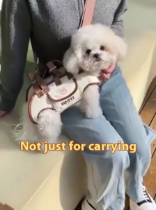 Portable Adjustable Crossbody Pet Carrier Bag for Small Dog Cat Outdoor Travel Breathable Shoulder