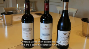 Ornellaia Le Serre Nuove dell Ornellaia 2022 Italy Red Wine 14.5% ABV 750ml