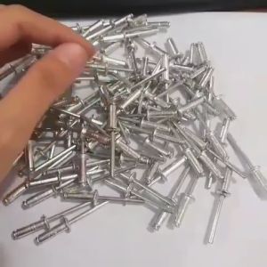 Paku Rivet Nail/Benz 4x12.7(550) 1000pcs Almunium Stainless Steel