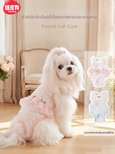 hipidog | Menstrual Pants for Dogs Menstruation Dedicated Pantyliners