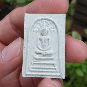 💥รับประกันแท้ พระผง พระสมเด็จ สมเด็จปรกโพธิ์ หลวงปู่โต๊ะ วัดถ้ำสิงโตทอง ราชบุรี 2565 เนื้อผงพุทธคุณ พระแท้ราคาถูก ค้าขายดีร่ำรวย พระสมเด็จปี 2565 - Lazada