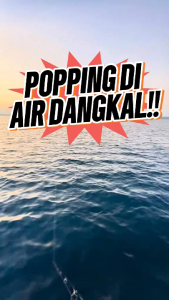 Umpan Pancing Ultralight Casting Mini Popper Riptide Garuda 9 Gram