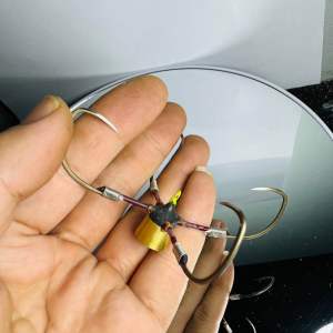 lưỡi câu tứ tỳ 15