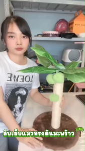 LCK068 แท่นของเล่นทรงต้นมะพร้าว