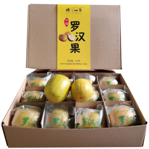 Third-Generation Low-Temperature Dried White Meat Ginkgo Nutritional Snack Premium Gold Ginkgo Fruit Bagged Treat from Guangxi