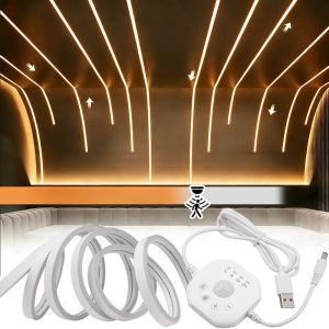 Running Water Flow Chasing LED Strip Lights 5V Motion Sensor Stairs Night Light for Room Corridor Ceiling Room Decor