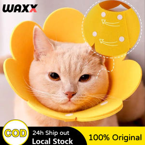 Cat Recovery Collar: Protect Your Pet with E-Collar for Pets