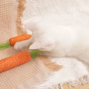 ของเล่นสัตว์เลี้ยง แครอทเชือก มี2ขนาด แบบเชือก ของเล่นแมว ของเล่นหมา ของเล่นสำหรับสัตว์เลี้ยง ช่วยคลายเครียด ขัดฟัน