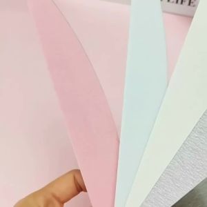 Professional Nail Sandpaper Care Tools with Replaceable Steel File Strips for Nail Shaping Cuticle Grinding Salon Use