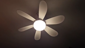 GEERLI พัดลมเพดานขนาด 52 ซม. พัดลม DC มอเตอร์ไร้เสียง พัดลมไฟห้องนอนแบบเกลียว พัดลมเพดานขนาดเล็กพร้อมรีโมทคอนโทรล พัดลมเพดาน LED พัดลม ABS รีโมทคอนโทรลแบบกลับด้านได้ 3 ระดับพร้อมฟังก์ชันตั้งเวลา