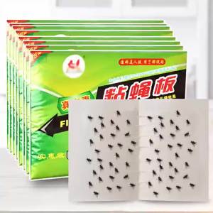 Keo Dính Ruồi Set 10 Cái Kích Thích Ruồi Miếng Dán Ruồi Côn Trùng Bọ Quán Ăn Nhà Ở Không Độc Hại - ALLIN