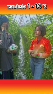 สารจับใบนุชฟอร์ไลฟ์ขนาด500cc