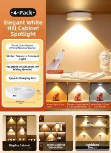 SUIYI | Remote Control Rechargeable Wireless LED Spot Light