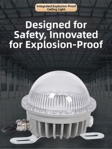 HAOJIJI | Explosion-proof Ceiling & Wall Light Waterproof Dustproof Low Voltage