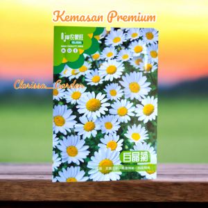 (KEMASAN PREMIUM) BIJI | BENIH BUNGA KRISAN KRISTAL PUTIH ( isi -+400 butir)