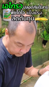 โปร 1กระปุก A Grow เอ โกรว Super Grow 88 ปุ๋ยชีวภาพไคโตซาน ลุงเอ อนันต์ (ขวด 250 cc)