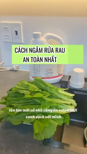 NƯỚC NGÂM RỬA RAU CỦ SINH HỌC FUWA3E CHAI 1 LÍT - LOẠI BỎ TỒN DƯ BẢO VỆ SỨC KHỎE GIA ĐÌNH