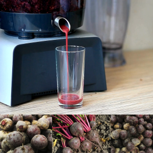 500 Grams Benguet beetroot Fresh sugar beets