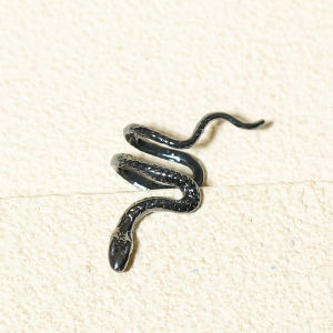 Retro Smooth Snake Coil Ear Cuff No Piercing Required Ear Hanging Fashion Accessory