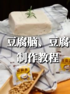 5 bags of tofu king gluconolactone powder tofu brain special internal fat powder coagulant 15g