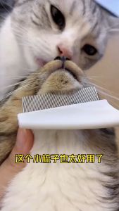 KenCo หวีสางเหา หวีหมัดสัตว์เลี้ยง หวีแมว หวีสางเห็บหมัด 2 สี ซี่หวีเข้ารหัสเหมาะสำหรับแมวและสุนัข