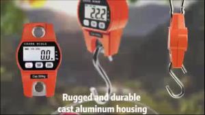 Cod/300kg Portable Mini Crane Scale LED Display Industry Crane Scale Weight Heavy Duty Hanging Hook Scales Portable Digital Stainless Steel Mini Crane Scale Lcd Digital Electronic Stainless Steel Hook Screw Hanging Weight Crane Scales Weighing Balance