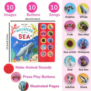 BEAR TALE Sounds Books For Kids Point To Read Sea Animal Calls Baby Toddler Story Early Education