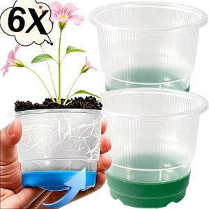 6 cái Silicone nhà máy chậu trồng cây chậu ươm cup bắt đầu phát triển Chậu hoa chậu hoa trồng rau nhà kính trồng công cụ